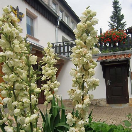 Ferienhaus Haus Am Wald Stolberg i. Harz Esterno foto