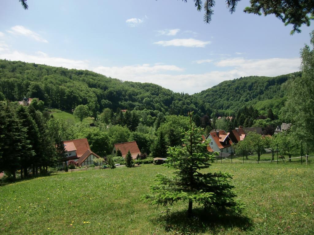 Ferienhaus Haus Am Wald Stolberg i. Harz Esterno foto