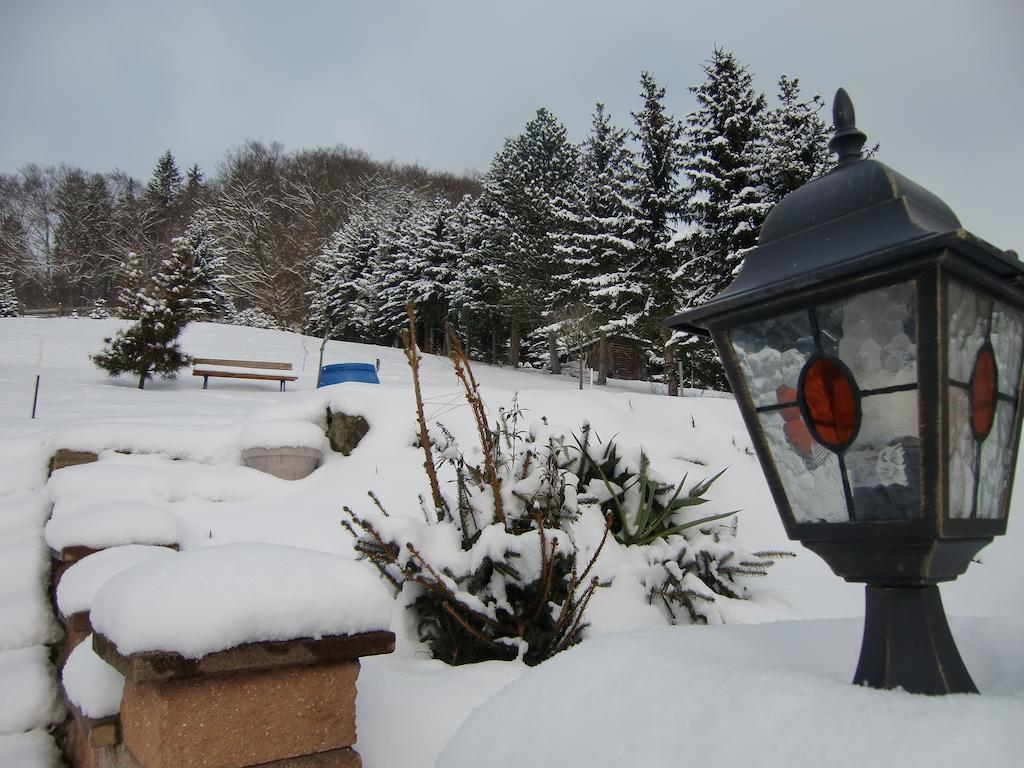 Ferienhaus Haus Am Wald Stolberg i. Harz Esterno foto
