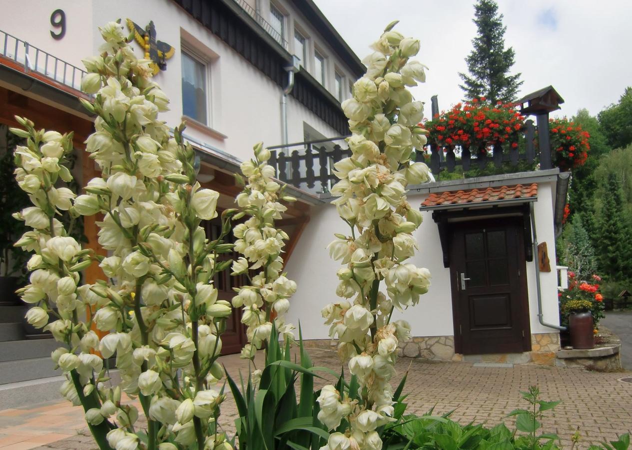 Ferienhaus Haus Am Wald Stolberg i. Harz Esterno foto